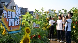 福州：葵花向阳开 少年赴未来