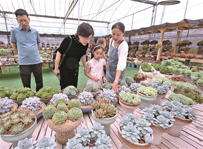 宁德：打好政策组合拳 全方位繁荣消费市场_fororder_p1_b