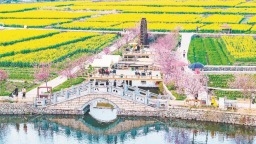 莆田涵江坪盘村：油菜花迎来最佳观赏季