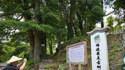 福州：让“绿色瑰宝”枝繁叶茂
