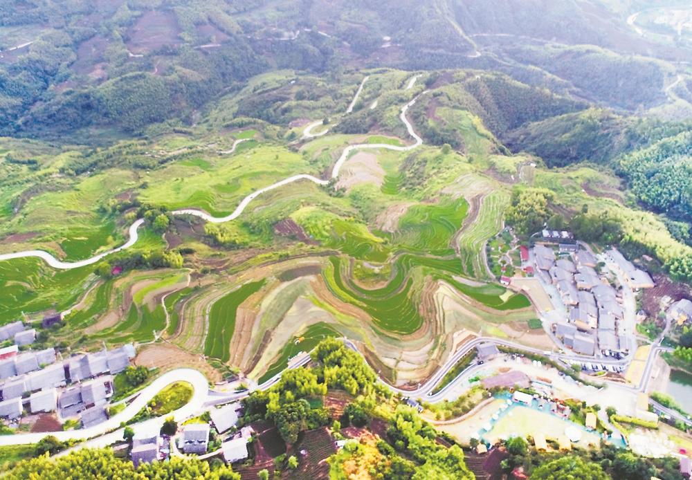南平政和：念山云上梯田景区展现独特魅力