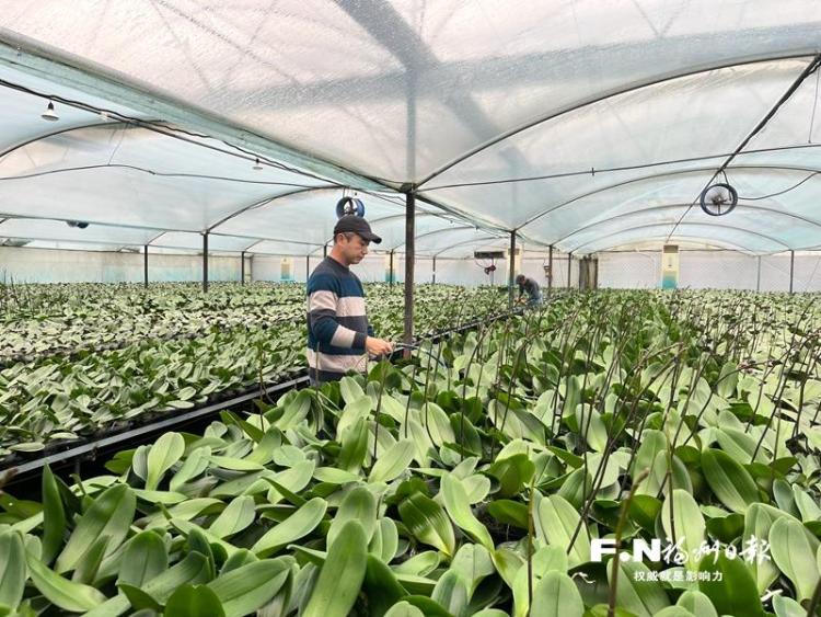颜值变产值 福州高新区打造“赏花+”消费新场景