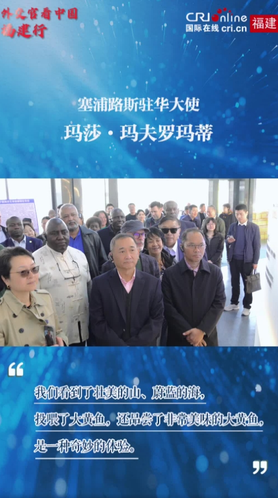 外交官看中国福建行｜塞浦路斯驻华大使：游览山海宁德 品味优质大黄鱼是一种奇妙的体验_fororder_12112222