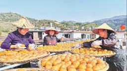 泉州永春县：柿饼飘香日子甜