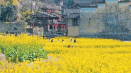 宁德：花开屏南 振兴有“道”