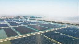 莆田：千亩“绿能矩阵”并网发电