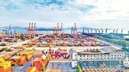 厦门自贸片区：向绿而行 绘就可持续发展新蓝图