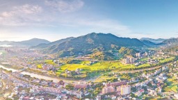 泉州：五载深耕结硕果 “三农”焕彩启新程