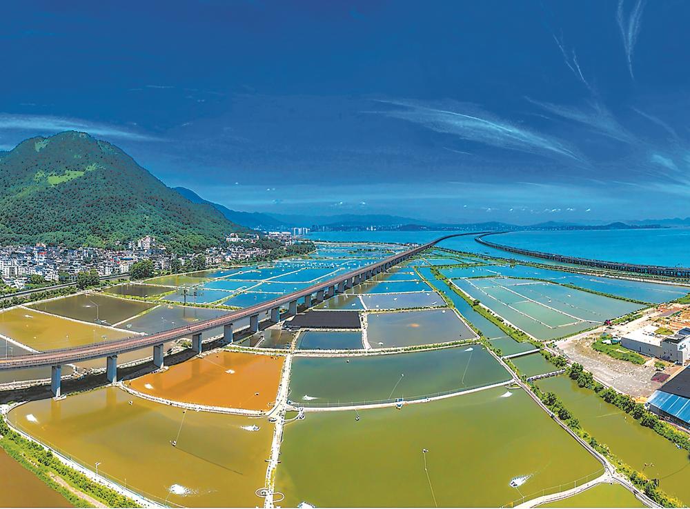 温福铁路：福宁跑出山海协作“加速度”