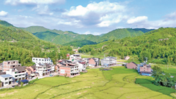 宁德福鼎：小田并大田 荒地变良田