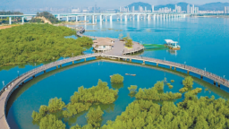 厦门推进海洋生态保护 建设全国海洋经济发展示范区