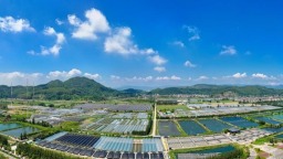 增速居全省首位 福州农业农村“半年报”出炉