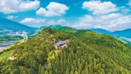 福建周宁：一片林蹚出一条生态致富路