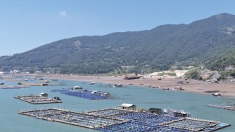 宁德福鼎：山海共兴 特色农业“全域开花”