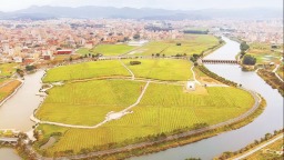 泉州水头镇：“巴掌田”变“稻梦岛”