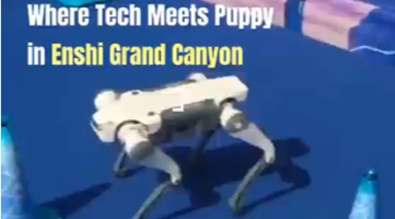 Robot Dogs Become the Star! Humans Be Like: I'm Out_fororder_企业微信截图_1746692375642