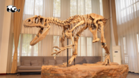 DinoRealm: When Modern Tech Encounters Dinosaurs