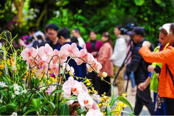 2025中国（南昌）花园节暨首届南昌园艺展9月29日开幕 十大主题展区诠释花园生活新方式_fororder_2025中国718