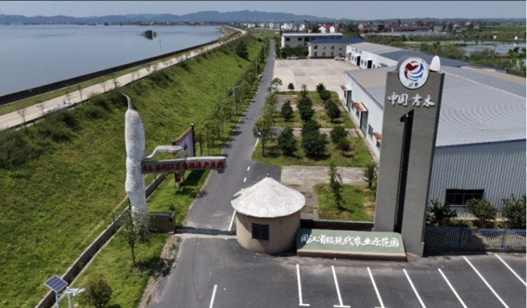 南昌工学院艺美乡村实践队助力吉水文化建设_fororder_图片7