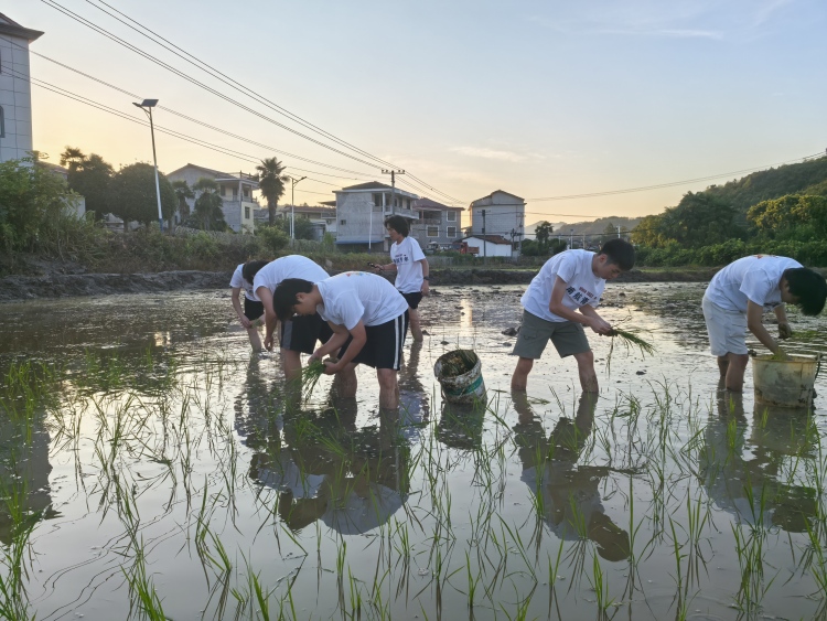 踏红土砺初心 扬蓝梦担使命：“红情蓝梦”实践队赴崇仁开展暑期大思政实践活动_fororder_微信图片_20250717153736