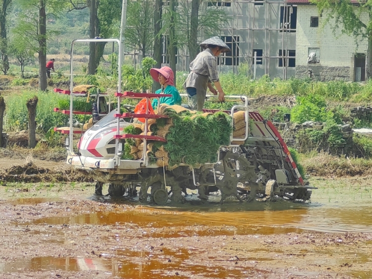 建设银行南昌分行引金融“春水” 精准灌溉乡村沃土