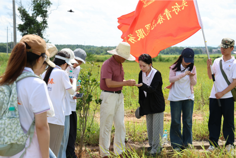 东华理工大学：美育启航“桐坪”共振 绘就乡村振兴新图景_fororder_图片4