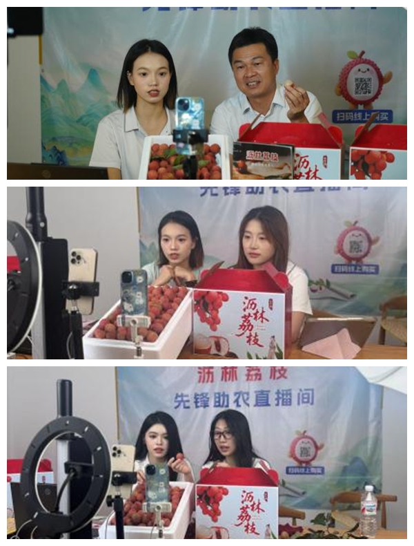 沥林荔枝红，青春“云”助农——南昌理工学院学子“三下乡”记_fororder_1_副本