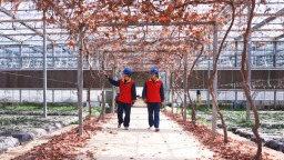 国网上高县供电公司：电力“红马甲”护航“莓”好时光