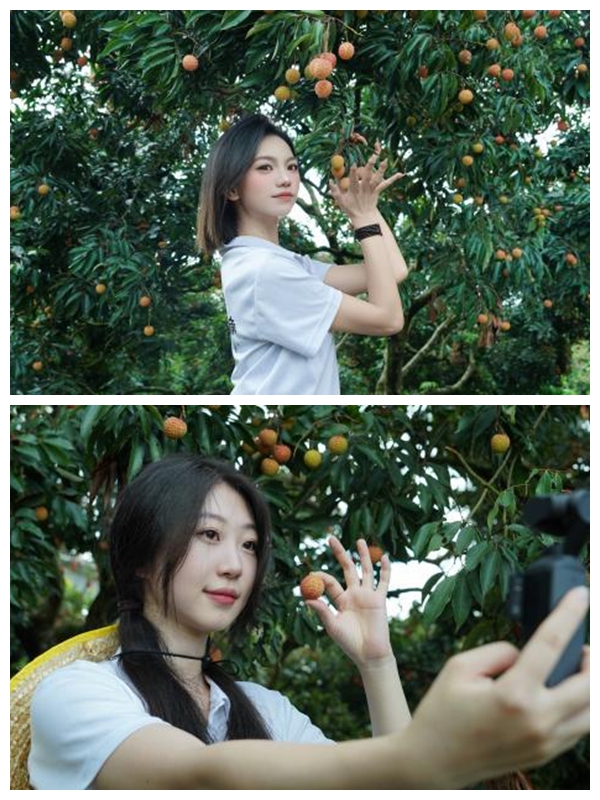 沥林荔枝红，青春“云”助农——南昌理工学院学子“三下乡”记_fororder_1_副本_副本