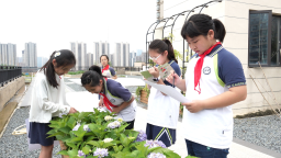 南昌市举办2025年国际生物多样性日主题宣传活动
