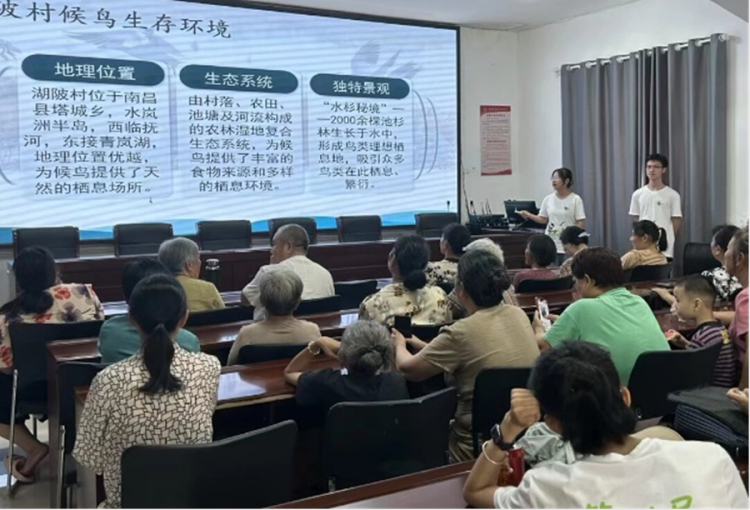江西师范大学青春“三下乡”：鹭栖水杉织秘境 绿波荡漾湖陂兴_fororder_图片3