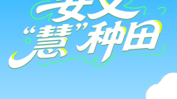 图片默认标题
