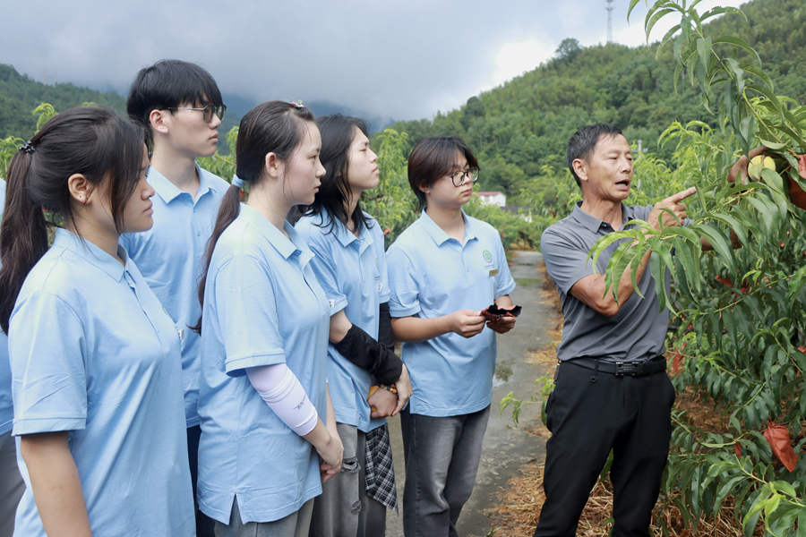 江西制造职业技术学院暑期“三下乡”社会实践乡村振兴篇：产业调研启新程 智汇乡村话振兴_fororder_图片39