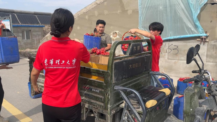 东华理工大学“普惠乡村”实践队走进新疆：奏响青春“椒”响曲 红色大棚谱新篇_fororder_图片32