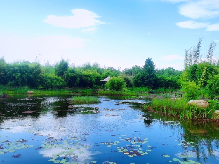 执生态之笔 兴赣鄱乡村——江西小微湿地解锁“绿富美”振兴密码_fororder_江西省林业科学院城郊小微湿地群