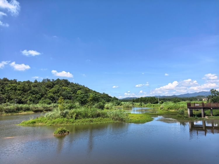 执生态之笔 兴赣鄱乡村——江西小微湿地解锁“绿富美”振兴密码_fororder_安义县新民乡乌溪村小微湿地
