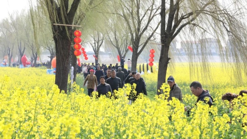 江西彭泽：万亩油菜花绽放 激活春日经济