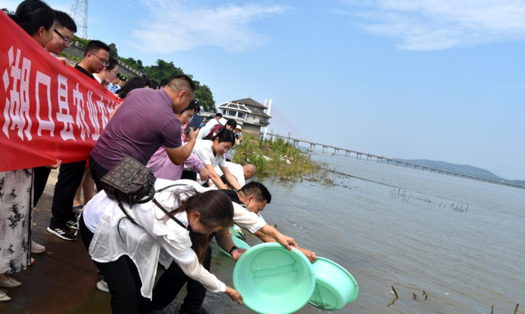 江西湖口：网络达人打卡政府开放日 一场增殖放流激活生态共治“流量密码”_fororder_图片21