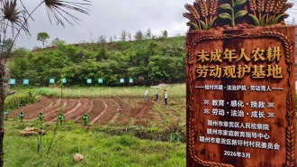 赣州章贡：四治并举筑防线 法治护航少年路