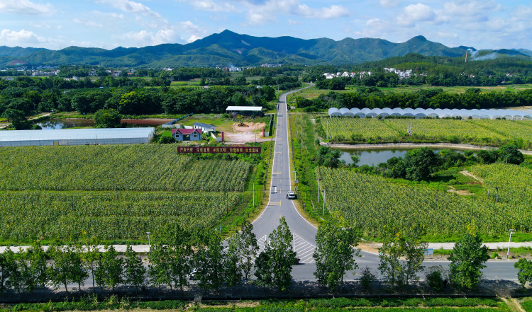 江西赣州：路衍新景 一路通百业兴_fororder_图片1