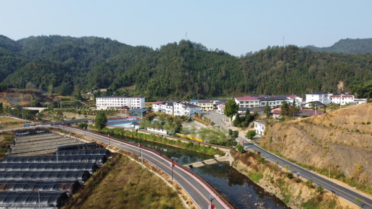 种下一颗“摇钱树”：黄精变“黄金”——江西省科技厅铜鼓中药材服务团工作札记_fororder_图片6