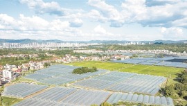 山区蔬菜何以“身价”倍增？——龙南市破解优质农副产品“出山难”