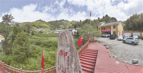 神山村为什么这样“红”——一个小山村的振兴密码