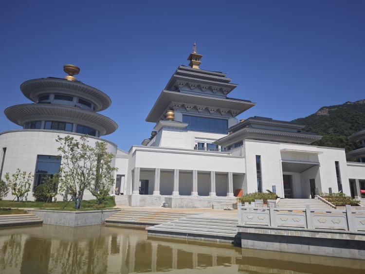千年杏林“活”了！庐山解锁中医药康养文旅新玩法_fororder_微信图片_20250820130552