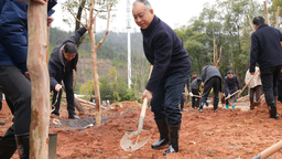 铜鼓县开展新春义务植树活动