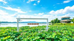 白鹤湖嬉水季启幕 打造夏季亲水新体验