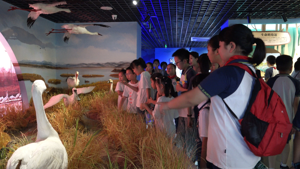 南昌市举办2025年国际生物多样性日主题宣传活动_fororder_图片7