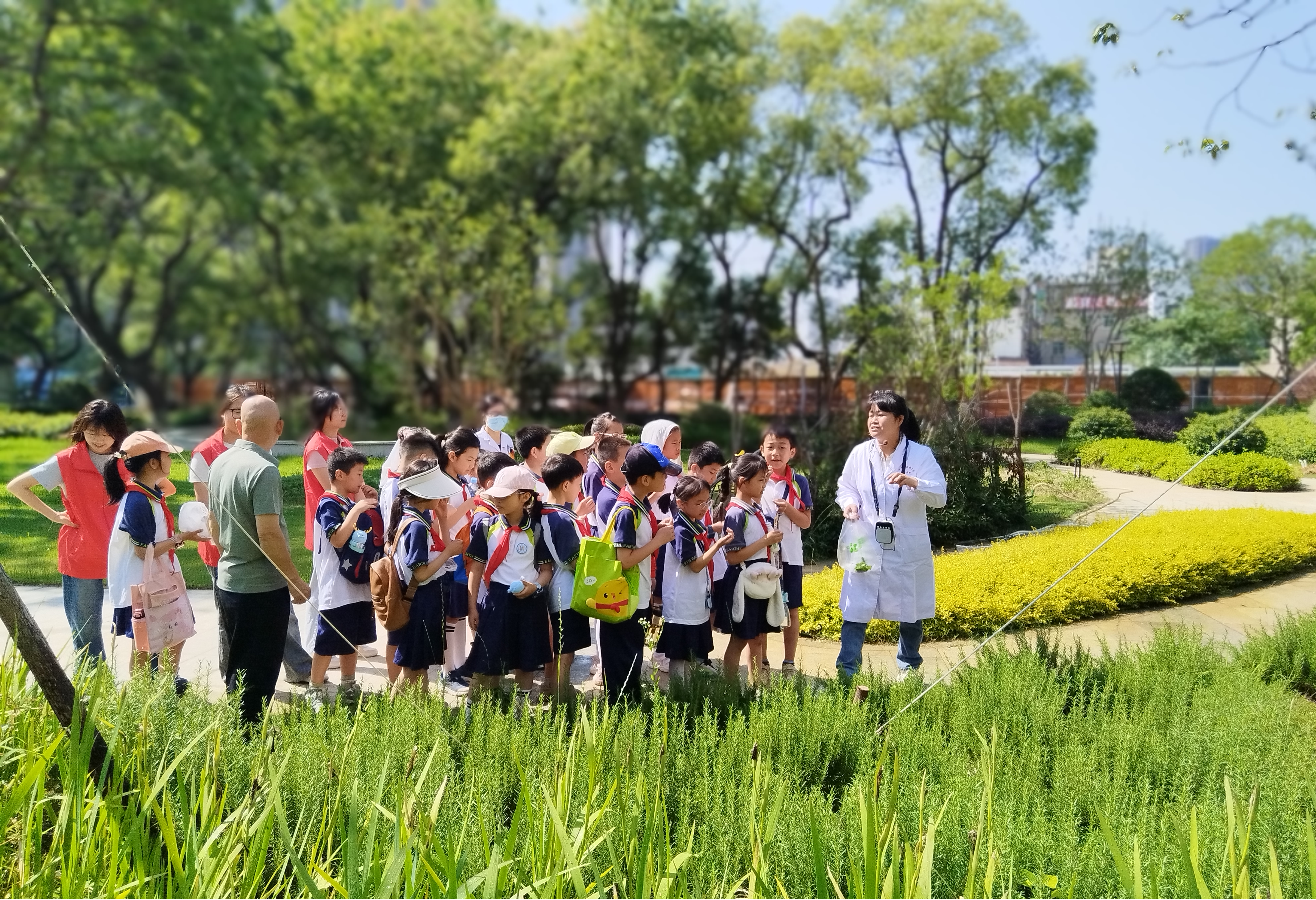 红谷滩区实验学校走进江西中医药大学附属医院开展中医药文化探索之旅_fororder_图片5