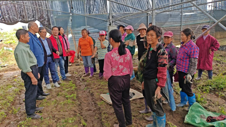 东华理工大学：科技小院“点菌成金” 激活乡村振兴新引擎_fororder_图片15
