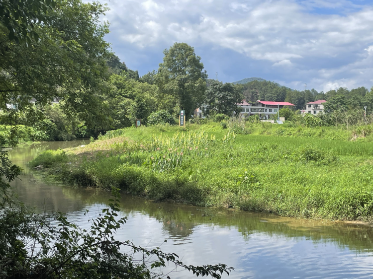 执生态之笔 兴赣鄱乡村——江西小微湿地解锁“绿富美”振兴密码_fororder_万载县赤兴乡镜山村小微湿地现状2